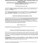 2020 Child Custody Form Fillable Printable PDF Forms Handypdf