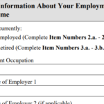 Affidavit Of Support Parent Of US Citizen I 864EZ Bringing Family