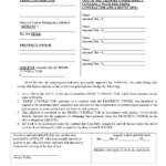 Affidavit Sample Florida HQ Printable Documents