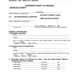 Fillable Petition To Modify Legal Decision Making Parenting Time And