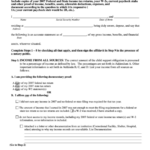 Financial Disclosure Affidavit Form Printable Pdf Download