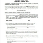 FREE 32 Affidavit Forms In MS Word