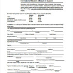 FREE 9 Student Affidavit Forms In PDF MS Word