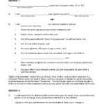 Marriage Affidavit Template Free Printable Documents