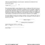 2021 Non Collusion Affidavit Fillable Printable PDF Forms Handypdf