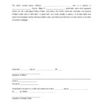 9 Blank Affidavit Form Examples PDF Examples