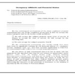 Affidavit Of Occupancy And Financial Status Legal Forms Financial Legal