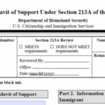 Affidavit Of Support Form I 864 Original wet Ink