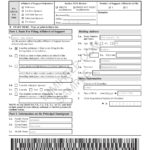 Affidavit Of Support Under Section 213A Of The Act