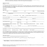 Colorado Financial Affidavit WikiForm