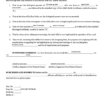 Fillable Joint Affidavit Of Legitimation Template Printable Pdf Download