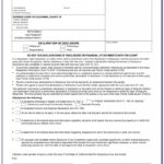 Florida Divorce Forms Financial Affidavit Form Resume Examples