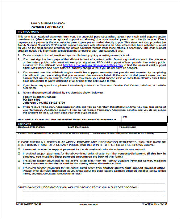 FREE 10 Affidavit Support Forms In PDF MS Word