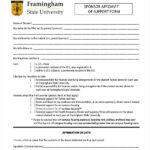 FREE 10 Sample Affidavit Of Support Forms In PDF MS Word