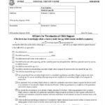 FREE 10 Sample Affidavit Of Support Forms In PDF MS Word