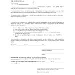 FREE 21 Affidavit Forms Sample Formats In PDF