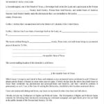 FREE 28 Sample Affidavit Forms In PDF