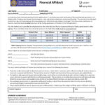 FREE 50 Affidavit Forms In PDF MS Word Excel
