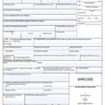 Free Application Form Templates