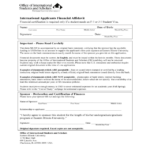 International Applicants Financial Affidavit Form Illinois Edit