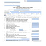 12 Financial Affidavit Form Florida Free To Edit Download Print
