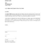 18 FREE Affidavit Of Support Templates Edit Download Template
