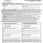 2018 Affidavit Form Fillable Printable PDF Forms Handypdf