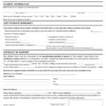 9 Affidavit Of Financial Support Examples PDF Examples