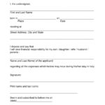 9 Affidavit Of Financial Support Examples PDF Examples
