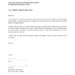 Affidavit Of Support For Visitor Visa Sample Template In Google Docs