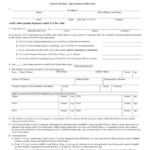 Affidavit Of Support Form Sample Edit Fill Sign Online Handypdf