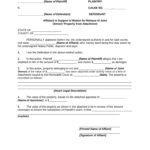 Affidavit Support Doc Template PdfFiller