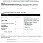 Bemidji State University International Student Financial Affidavit Form
