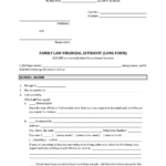 Family Law Financial Affidavit Form 12 902 b Or c Fill Online