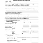 Fillable Affidavit Of Assets And Liabilities Printable Pdf Download