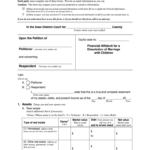Filled Out Affidavit Fow Iowa Fill Out And Sign Printable PDF