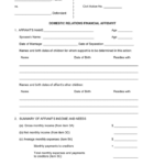 Financial Affidavit In Word And Pdf Formats
