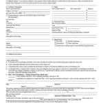 Financial Affidavit New Hampshire Judicial Branch Free Download