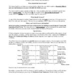 Florida Supreme Court Approved Family Law Form 12 902 C Petition For