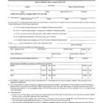 Form 1 134 Affidavit Of Support