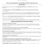 Form 6A002E Download Printable PDF Or Fill Online Texas Child Support