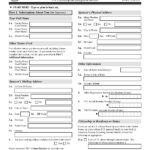 Form I 134 Affidavit Of Support WikiForm