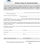 FREE 10 Sample Affidavit Of Support Forms In PDF MS Word
