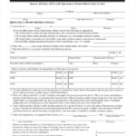 FREE 11 Sample Affidavit Of Support Forms In PDF MS Word