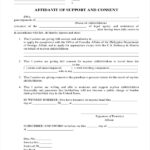 FREE 11 Sample Affidavit Of Support Forms In PDF MS Word