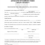 FREE 12 Sample General Affidavit Forms In PDF Word Excel