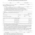 FREE 30 Affidavit Forms In PDF Ms Word Excel