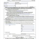 FREE 42 Affidavit Forms In PDF