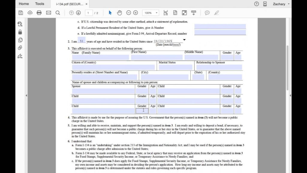 I 134 Sample Filled Form PDF Template