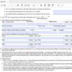 I 134 Sample Filled Form PDF Template